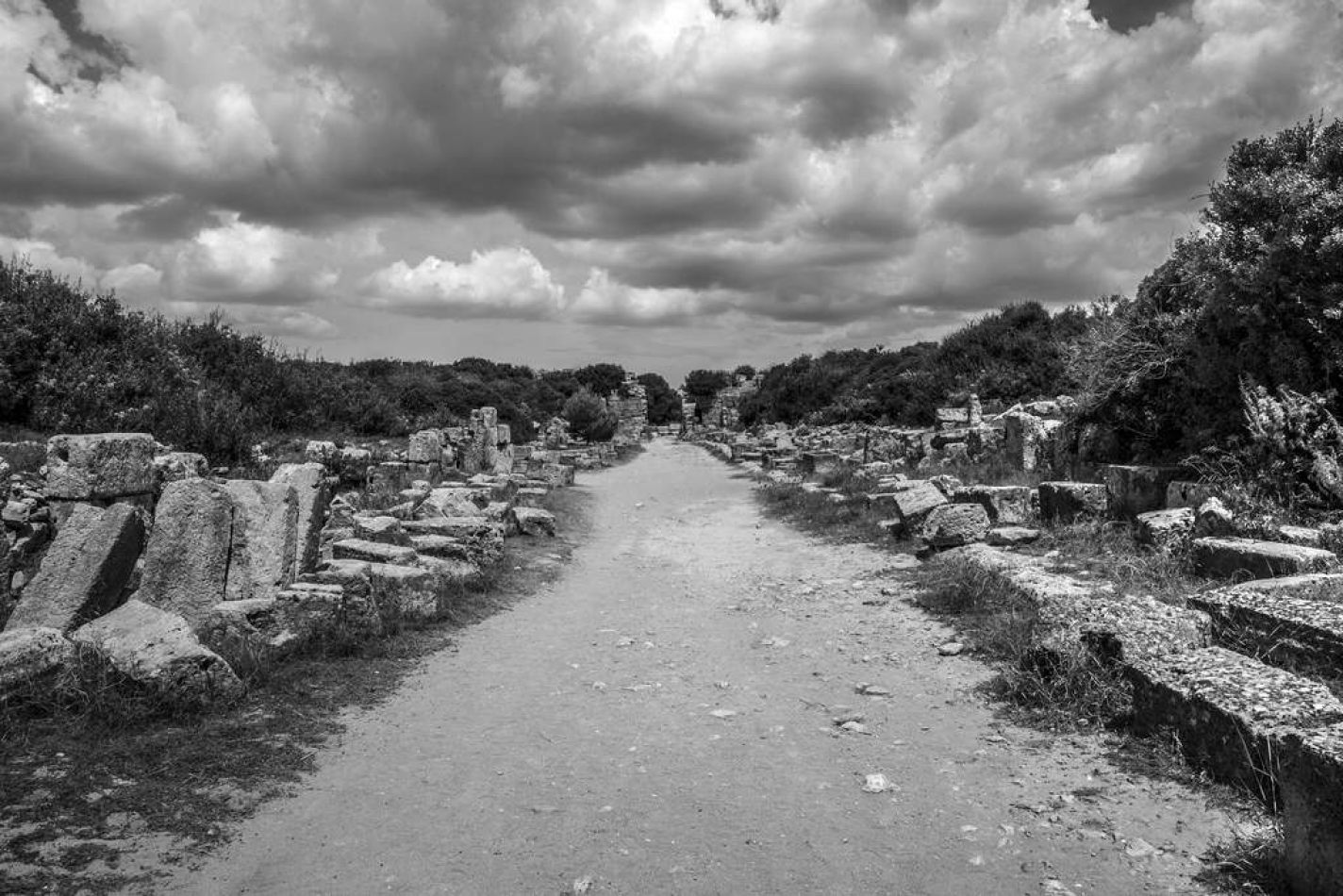 Storvandre: Selinunte