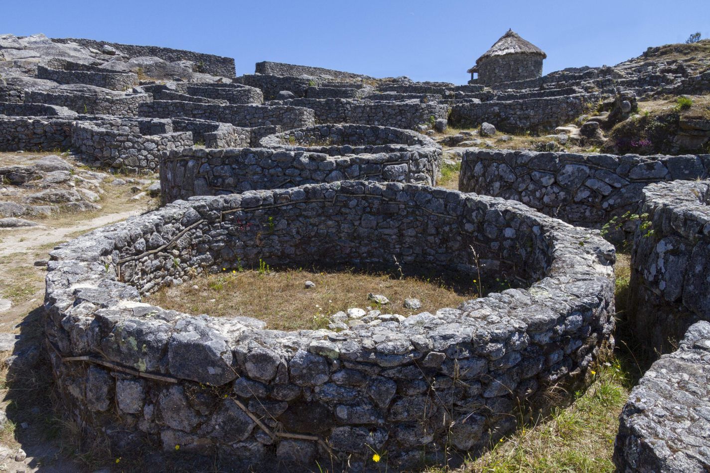 Storvandre: Santa Trega