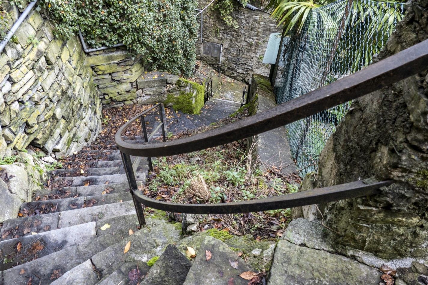 Storvandre: Carate Urio