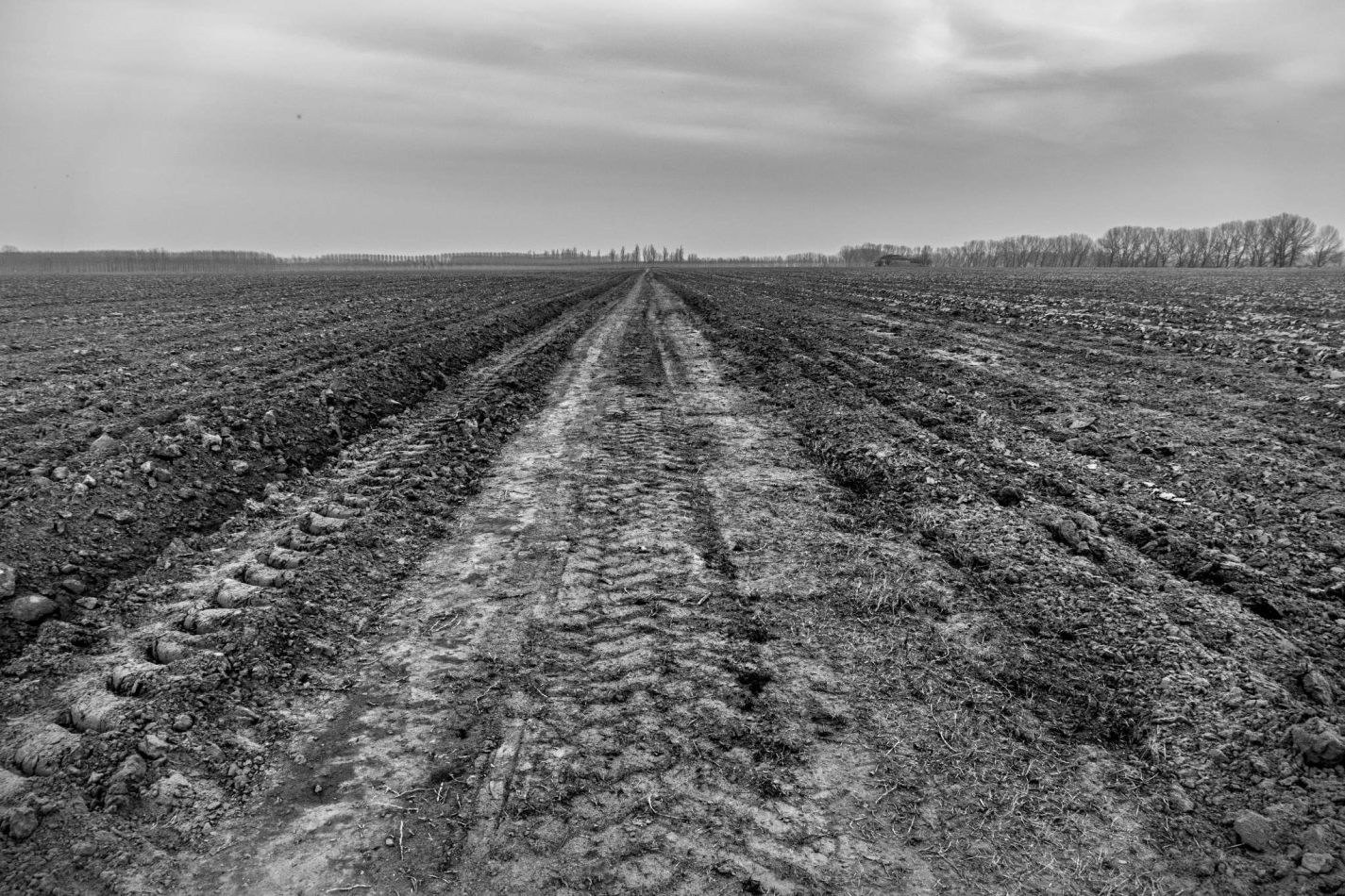 Storvandre: Golena del Po