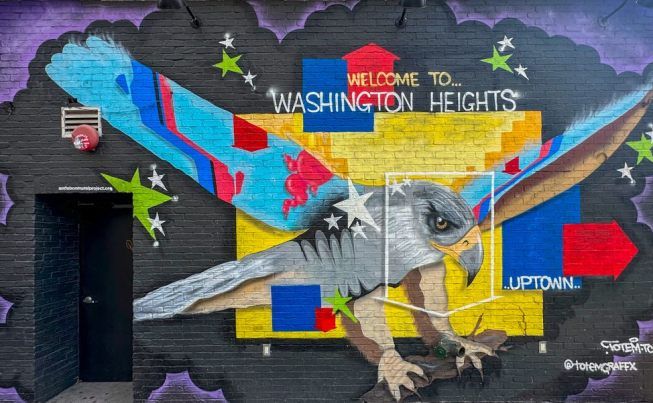 NYC I survived alternate side parking