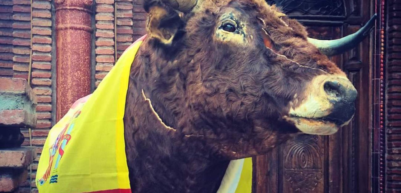 photos matching tag:espagna