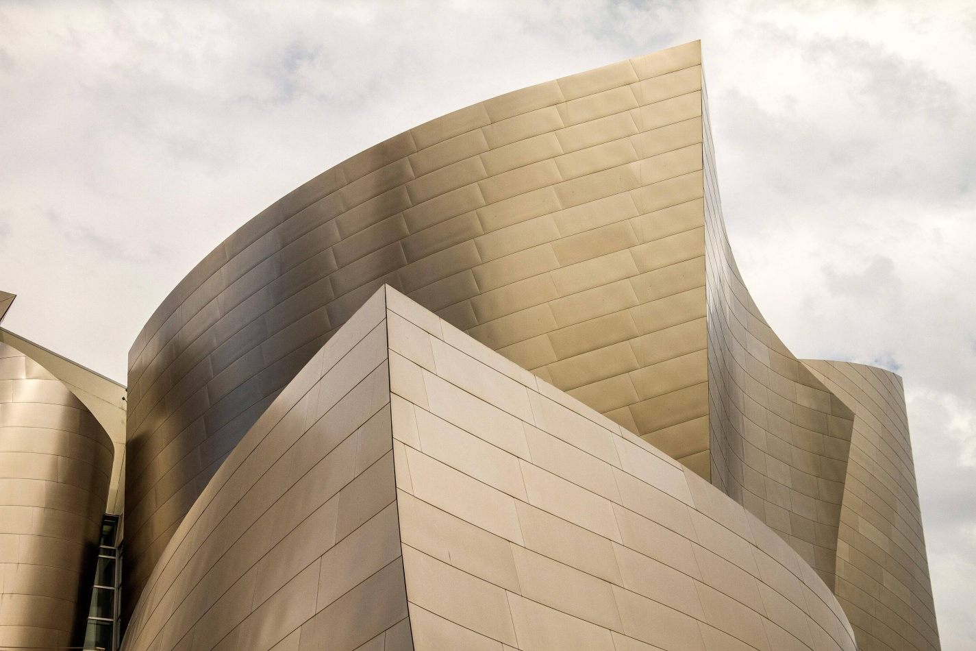 Storvandre: Los Angeles