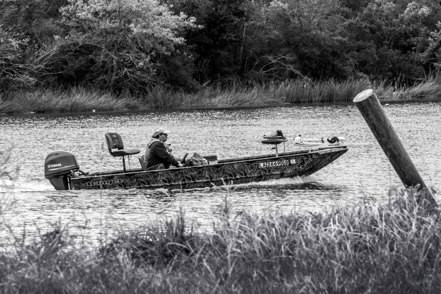 Storvandre: New Orleans