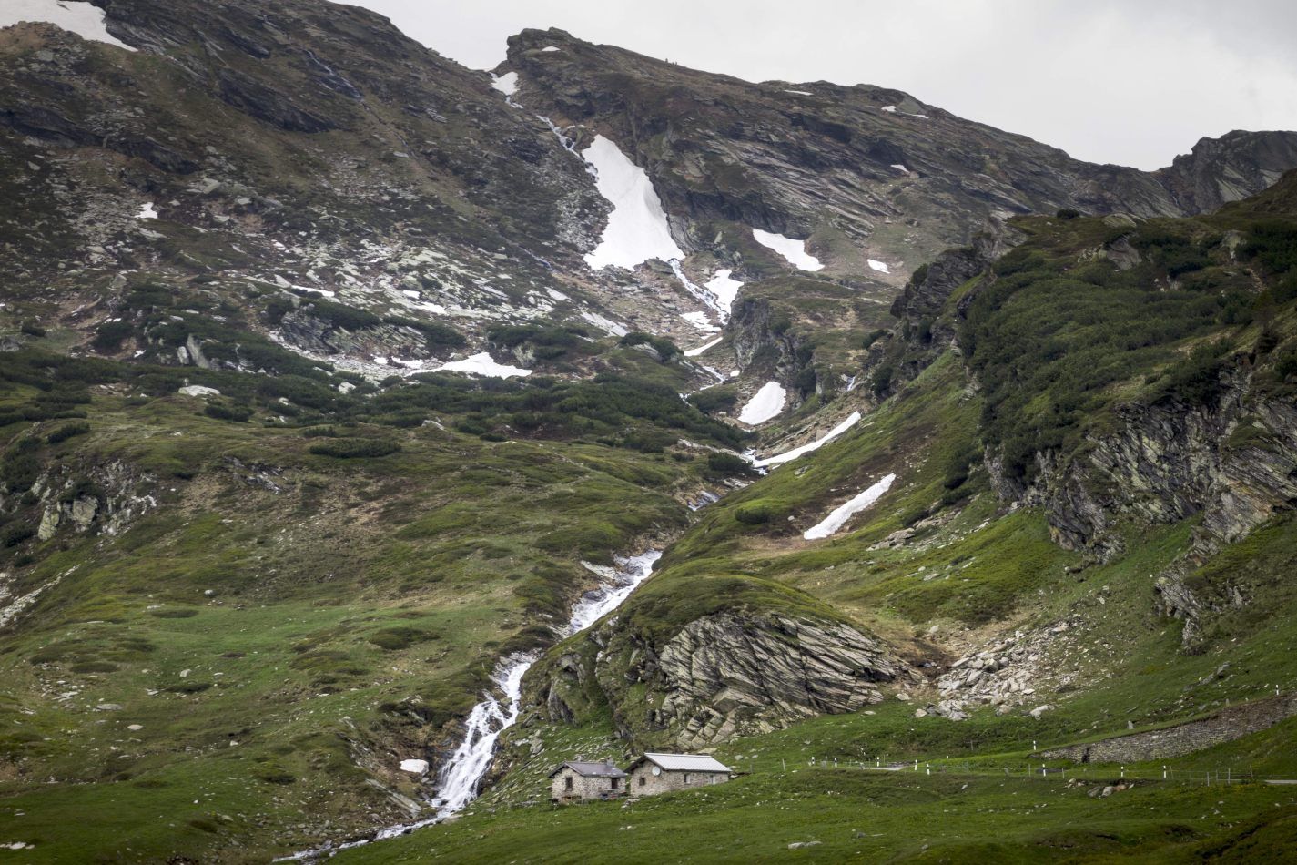 Storvandre: San Bernardino