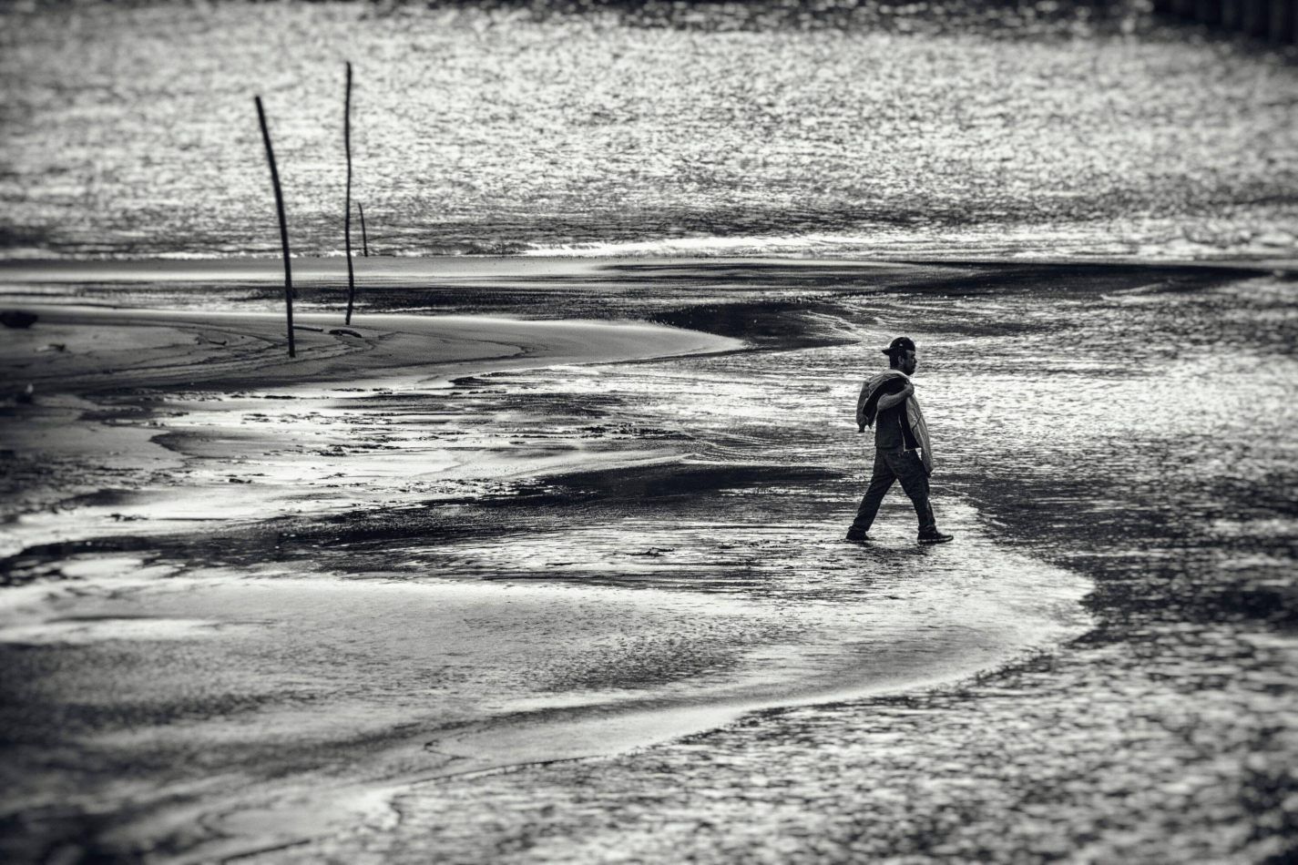 Storvandre: New Orleans