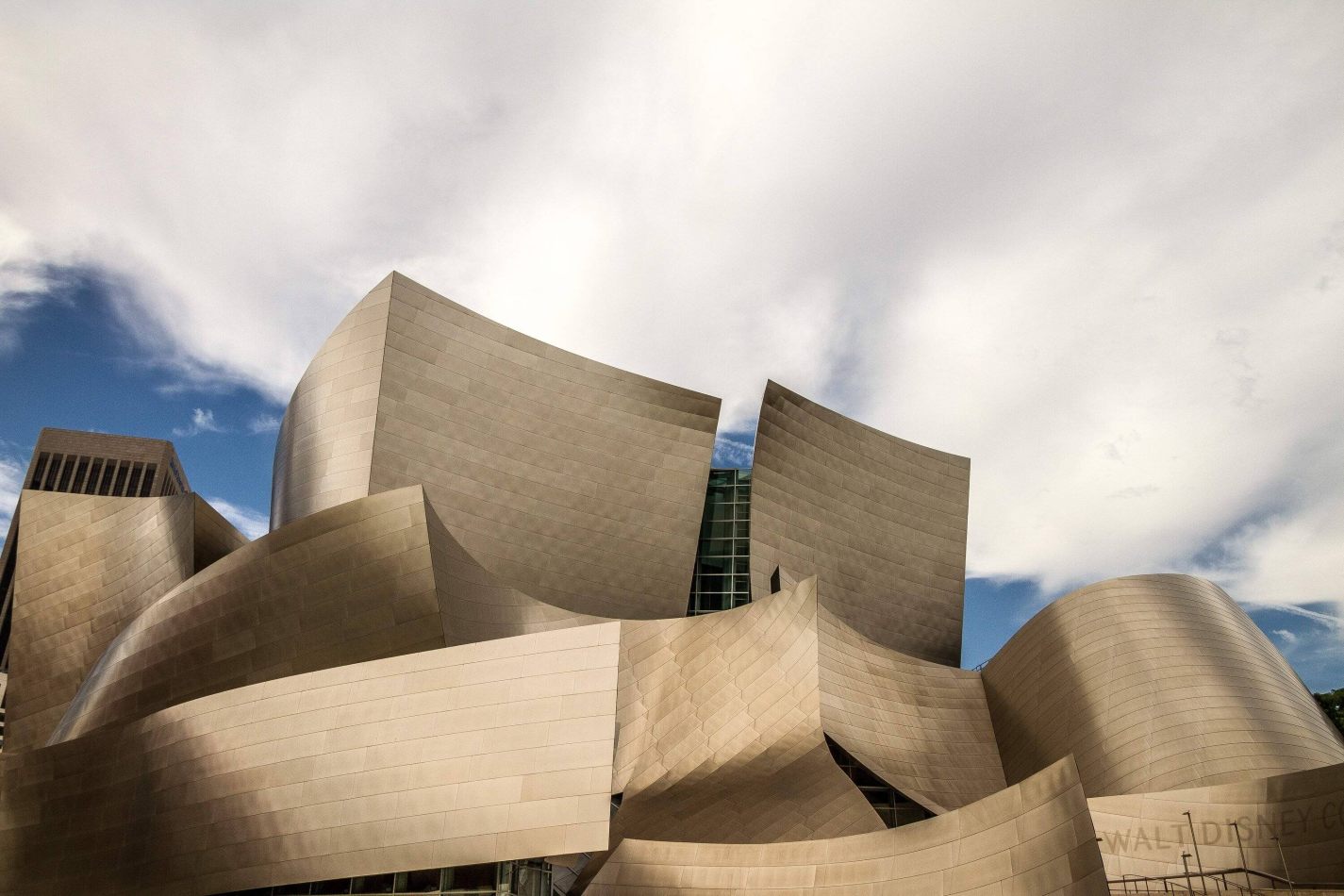 Storvandre: Los Angeles