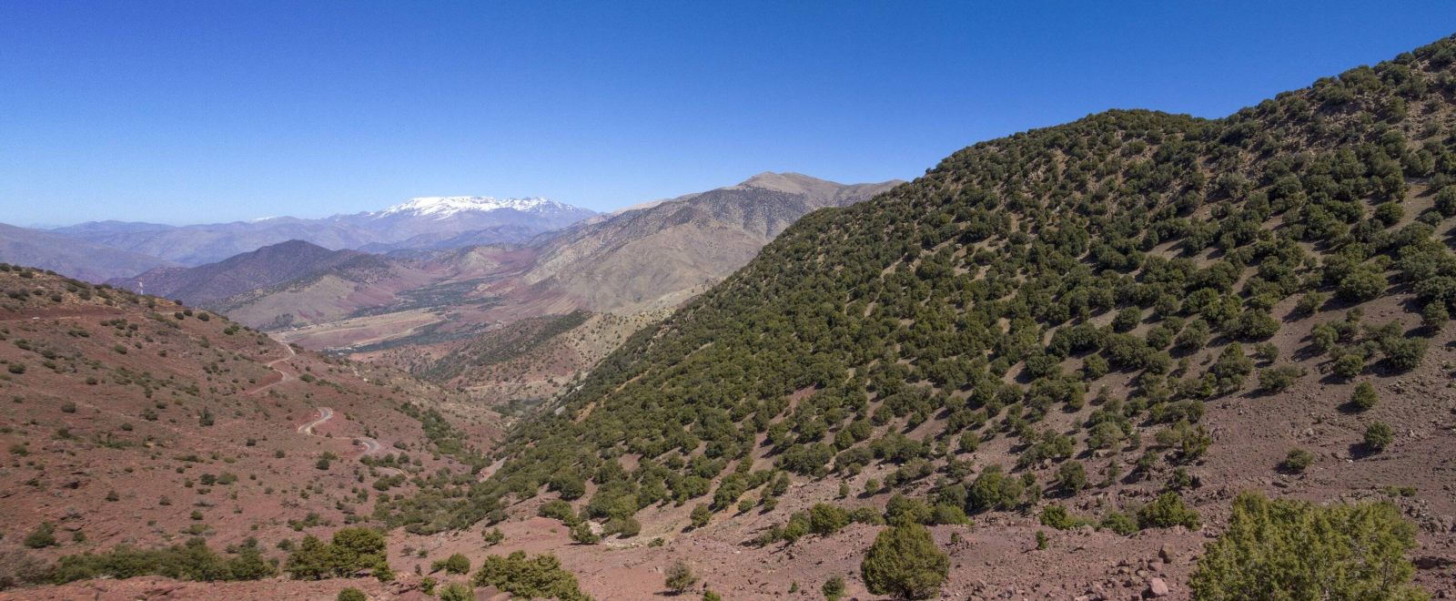 Storvandre: Tizi n Test Pass