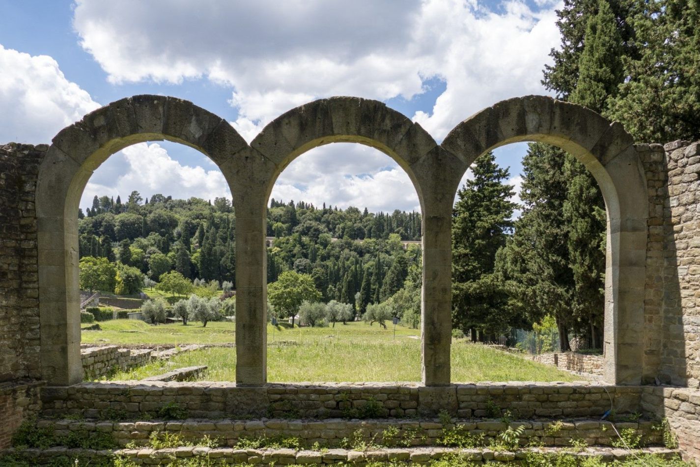 Storvandre: Florence