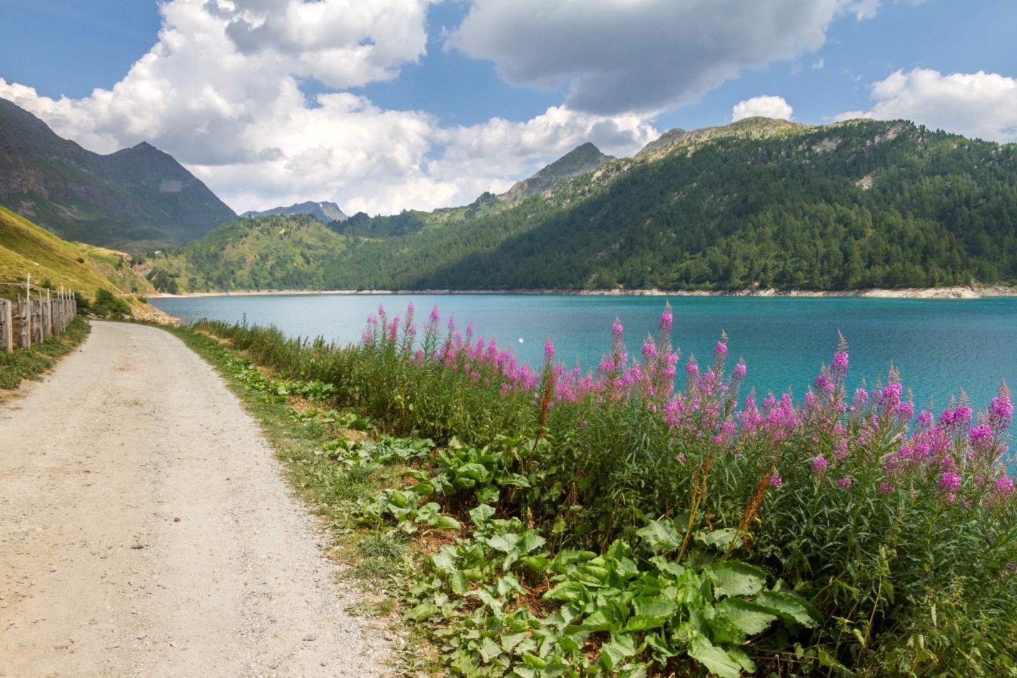 Storvandre: Ritom Lake