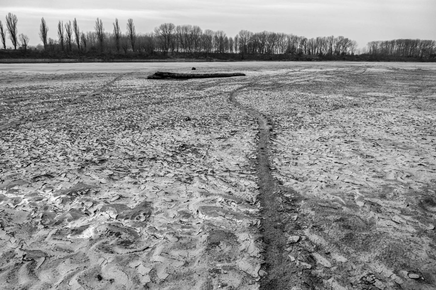 Storvandre: Golena del Po