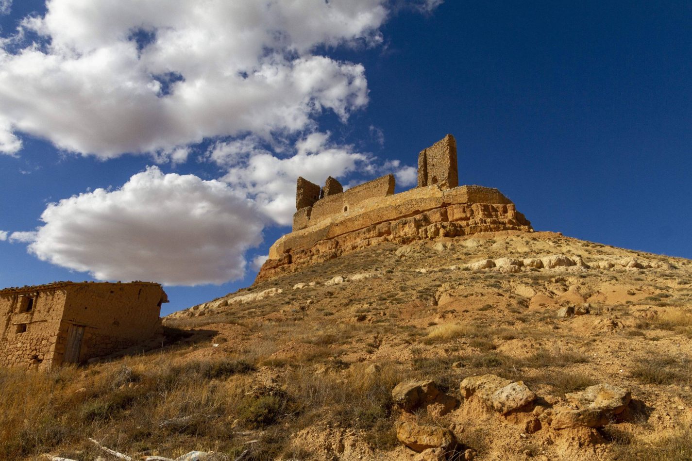 Storvandre: Montuenga