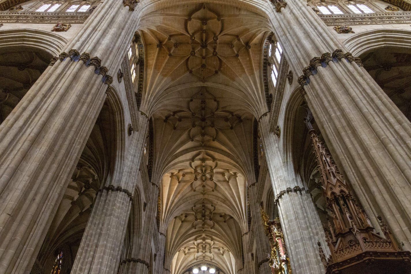 Storvandre: Salamanca