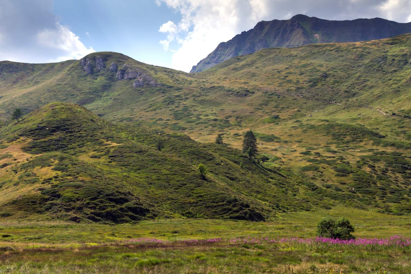 Storvandre: Ritom Lake