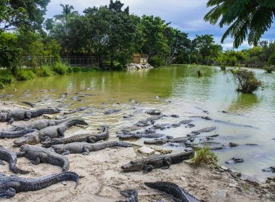Everlagdes National Park