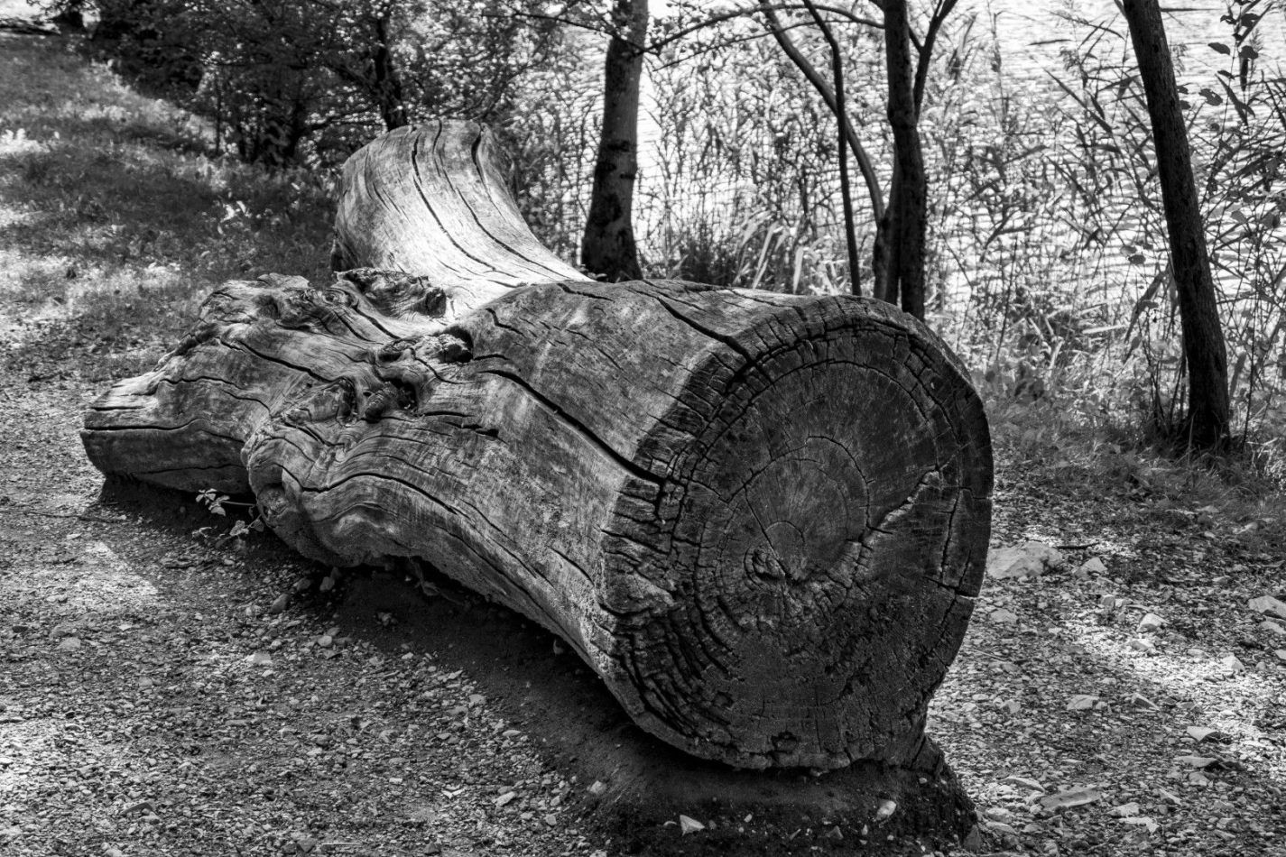 Storvandre: Lake Segrino
