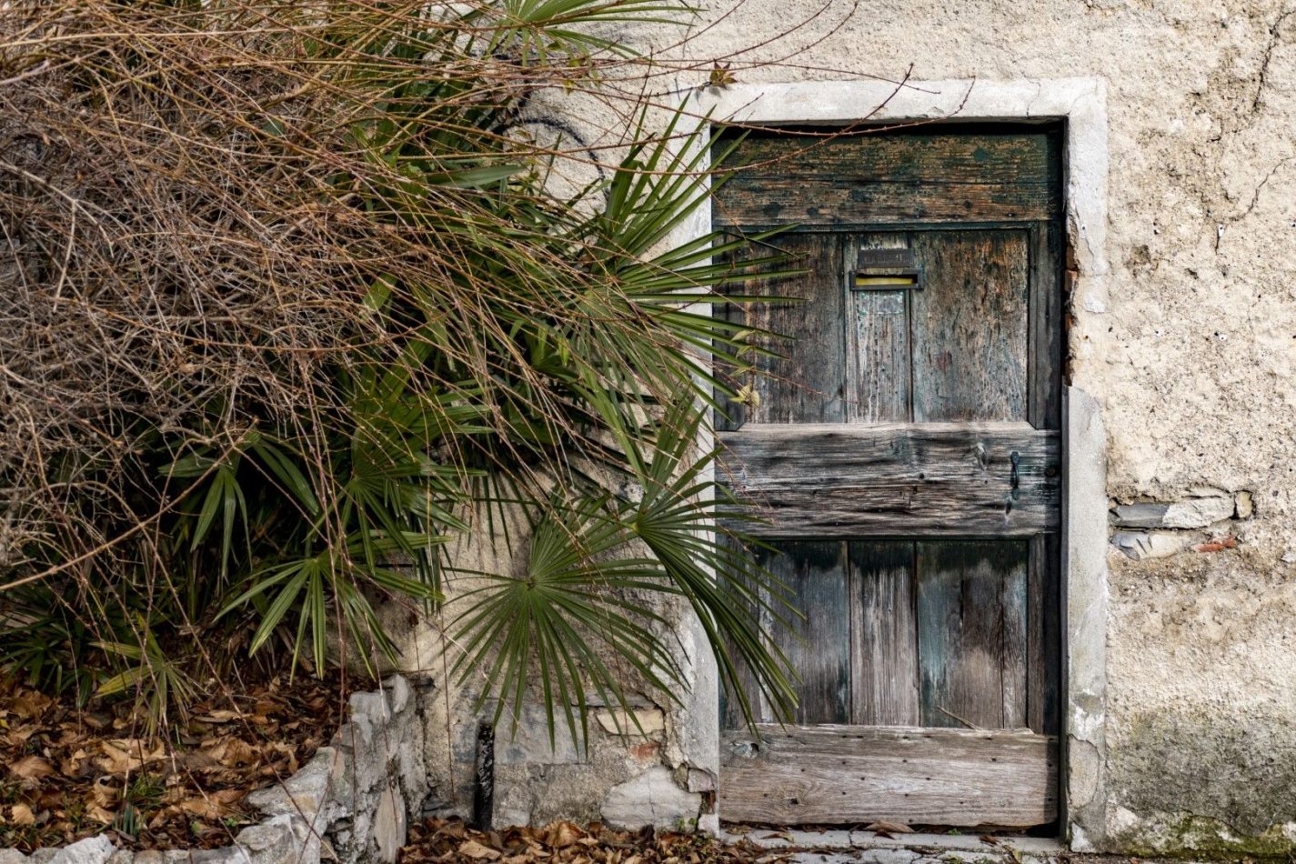 Storvandre: Carate Urio