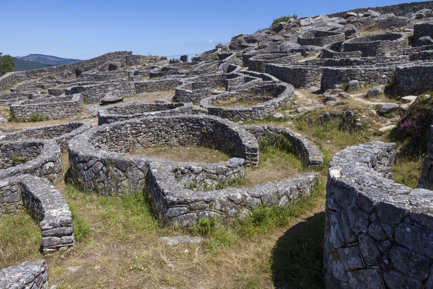 Storvandre: Santa Trega