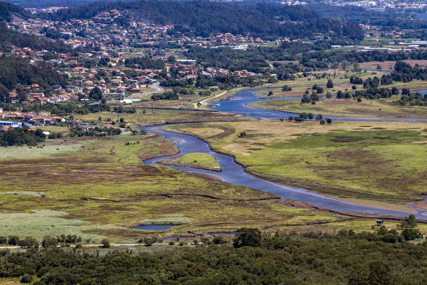 Storvandre: Santa Trega