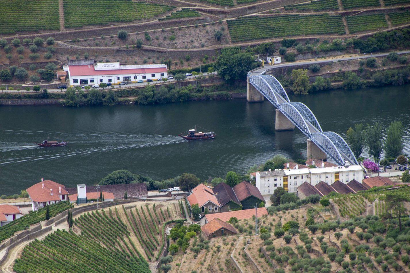 Storvandre: Douro Valley