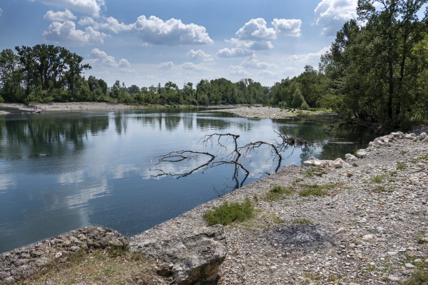 Storvandre: Adda River