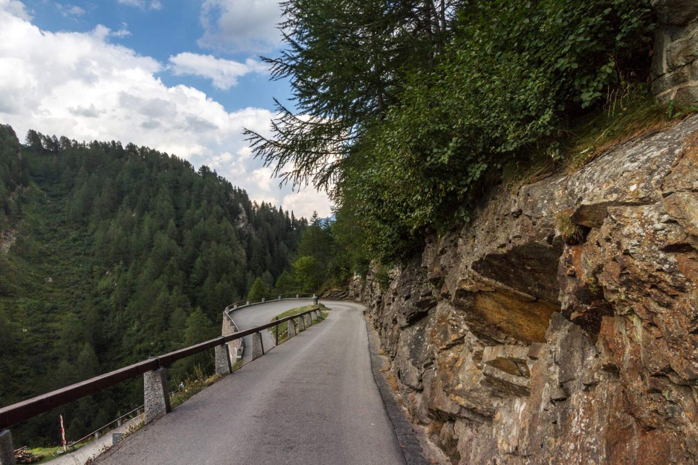 Storvandre: Ritom Lake