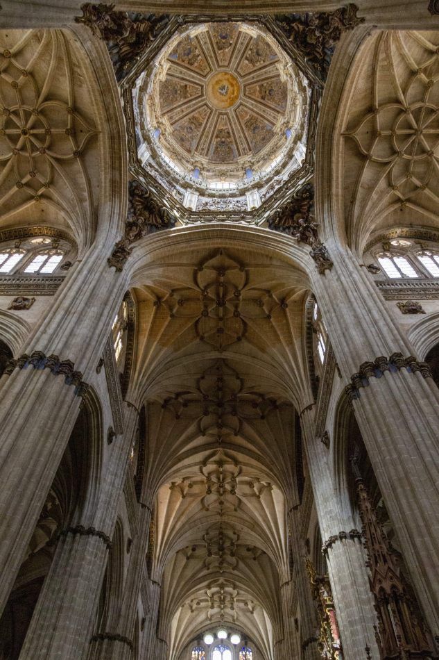 Storvandre: Salamanca