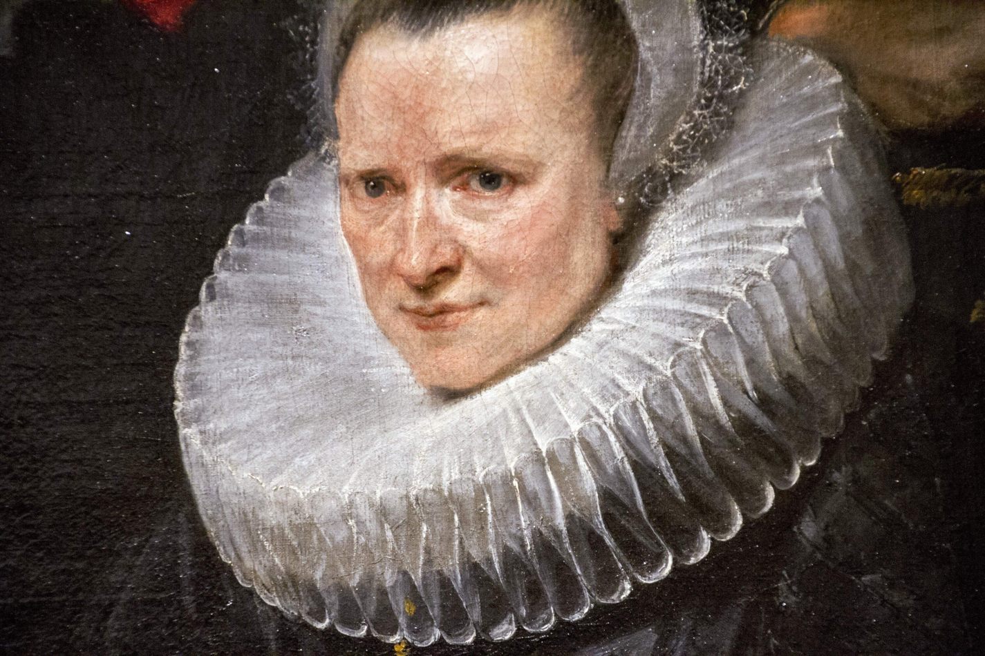 Storvandre: Budapest