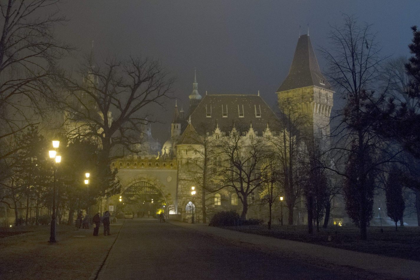 Storvandre: Budapest