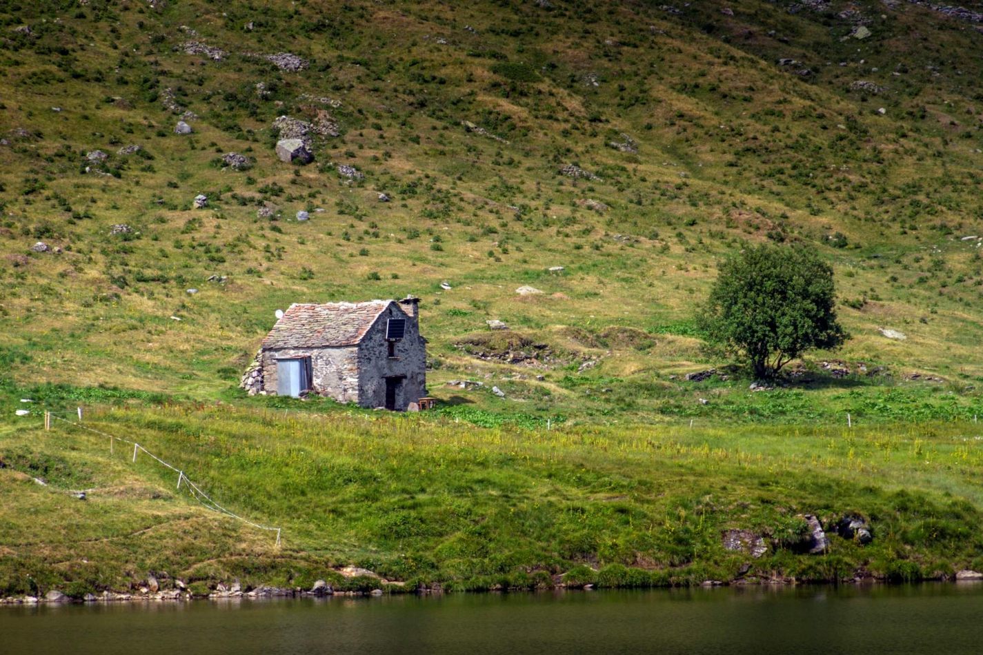 Storvandre: Ritom Lake