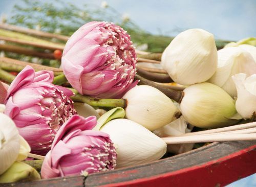 Still Life in Thailand