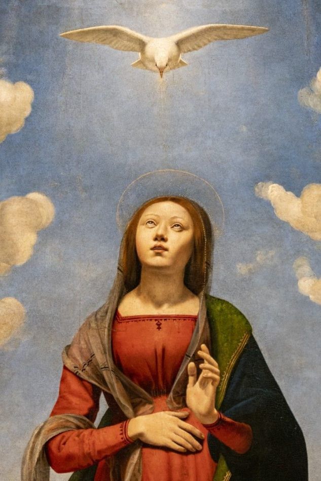 Storvandre: Florence