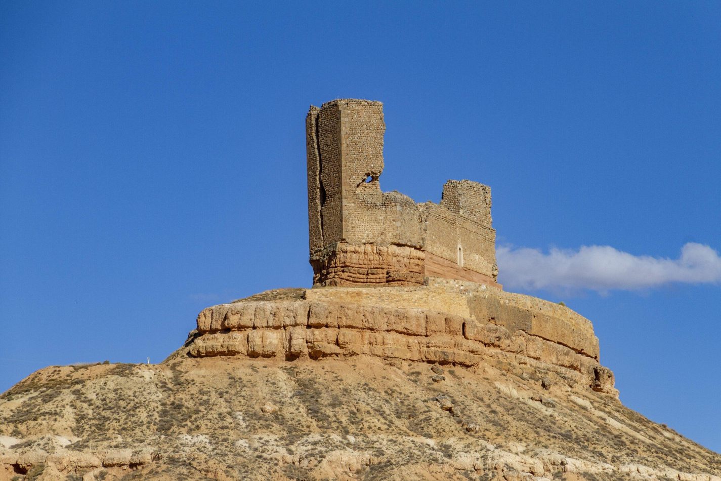 Storvandre: Montuenga