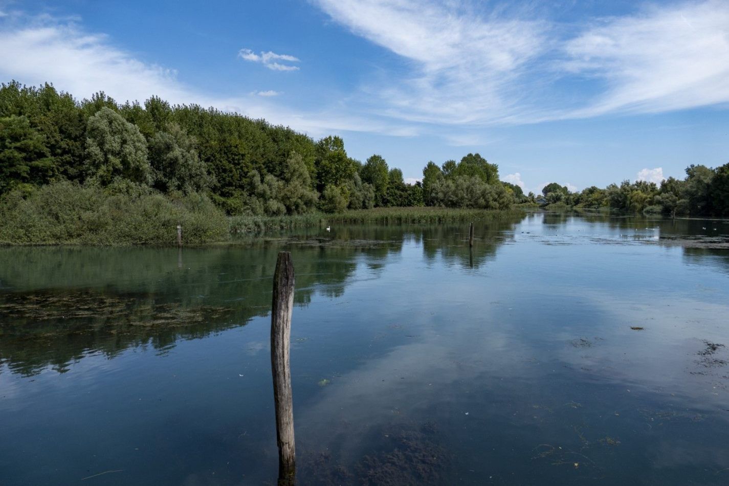 Storvandre: Sile River