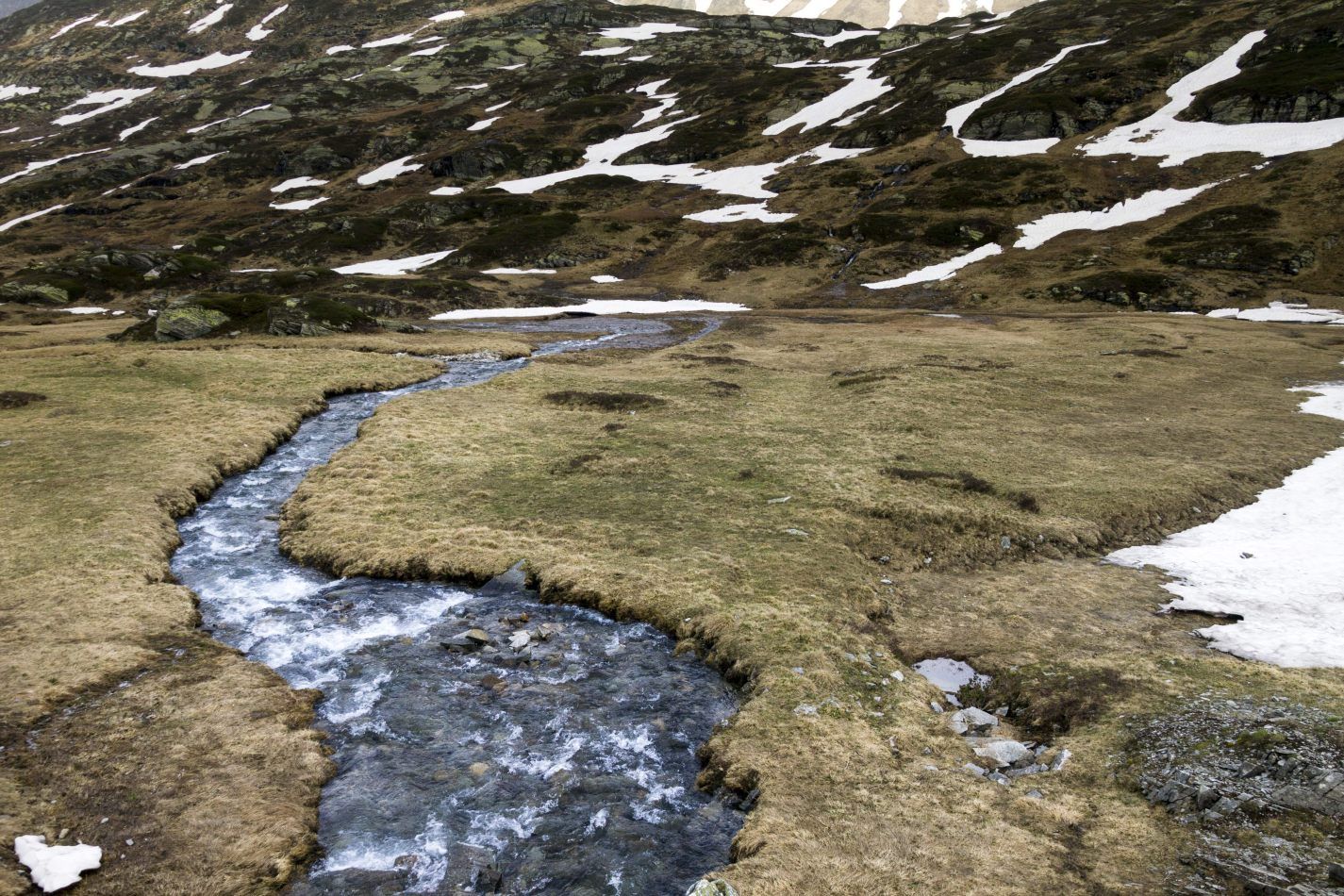 Storvandre: San Bernardino