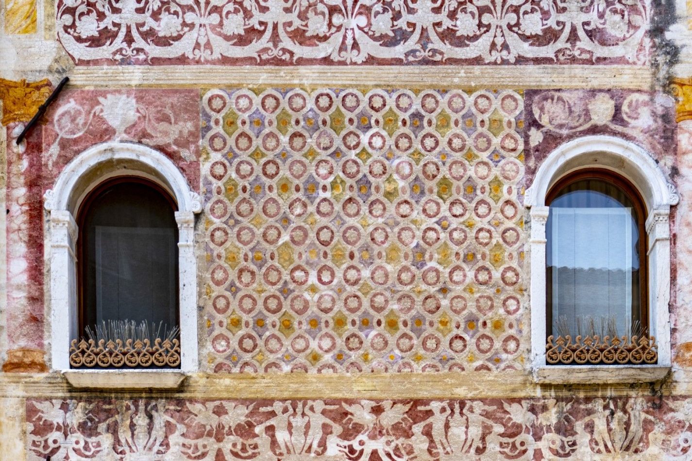 Storvandre: Pordenone