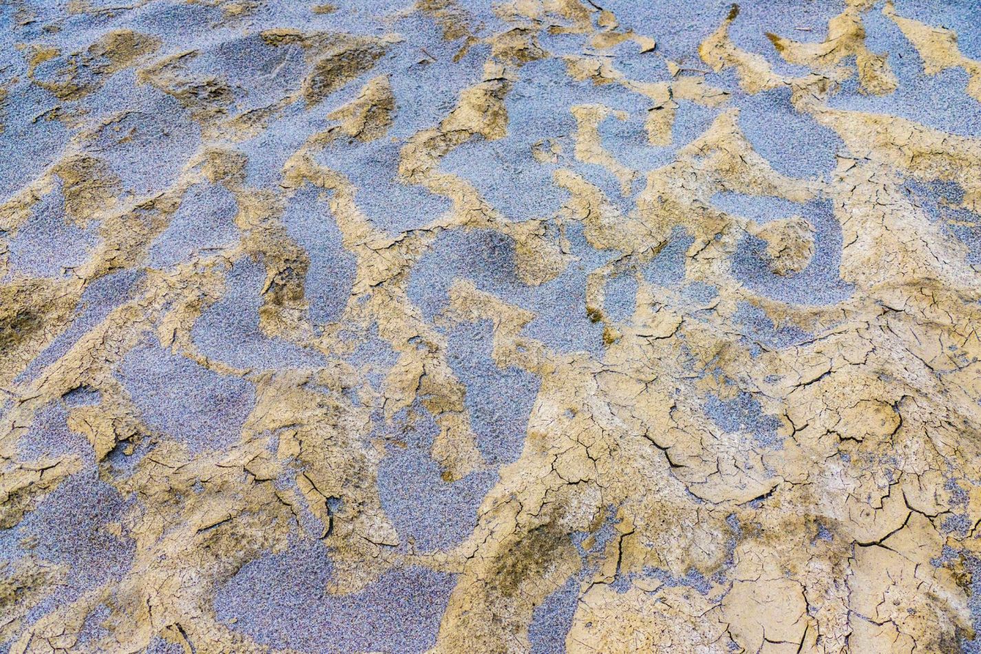 Storvandre: Golena del Po