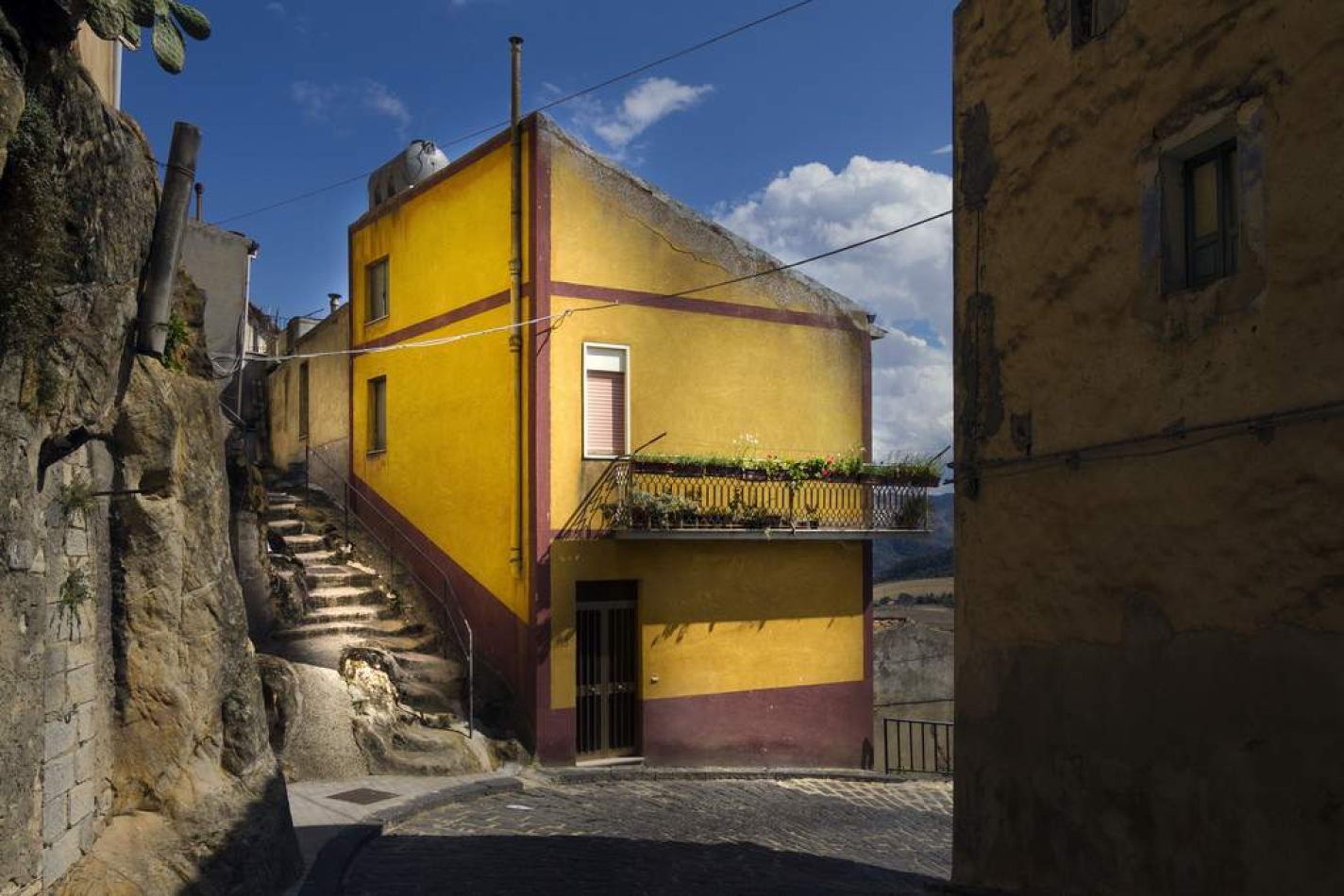 Storvandre: Sperlinga