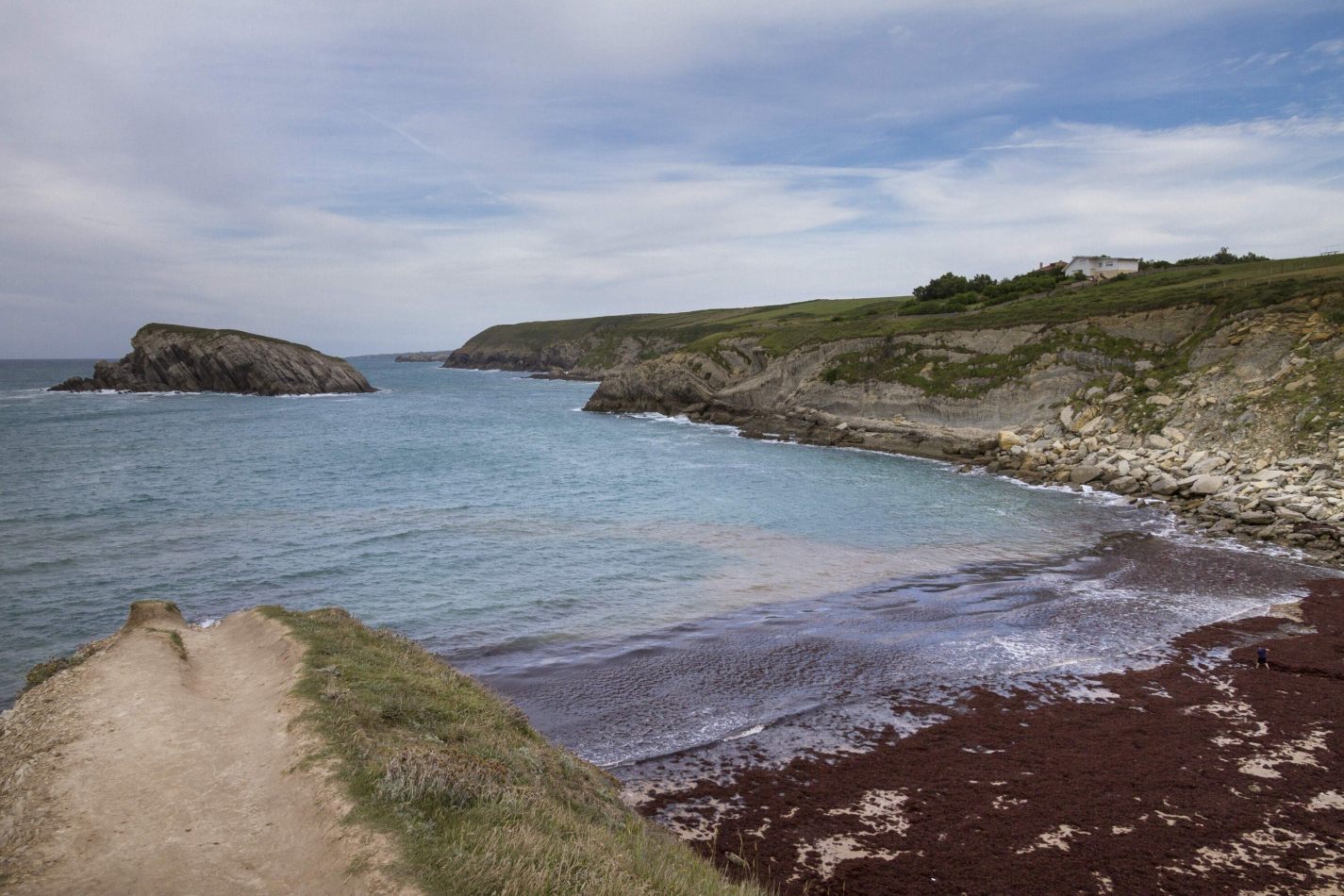 Storvandre: Liencres