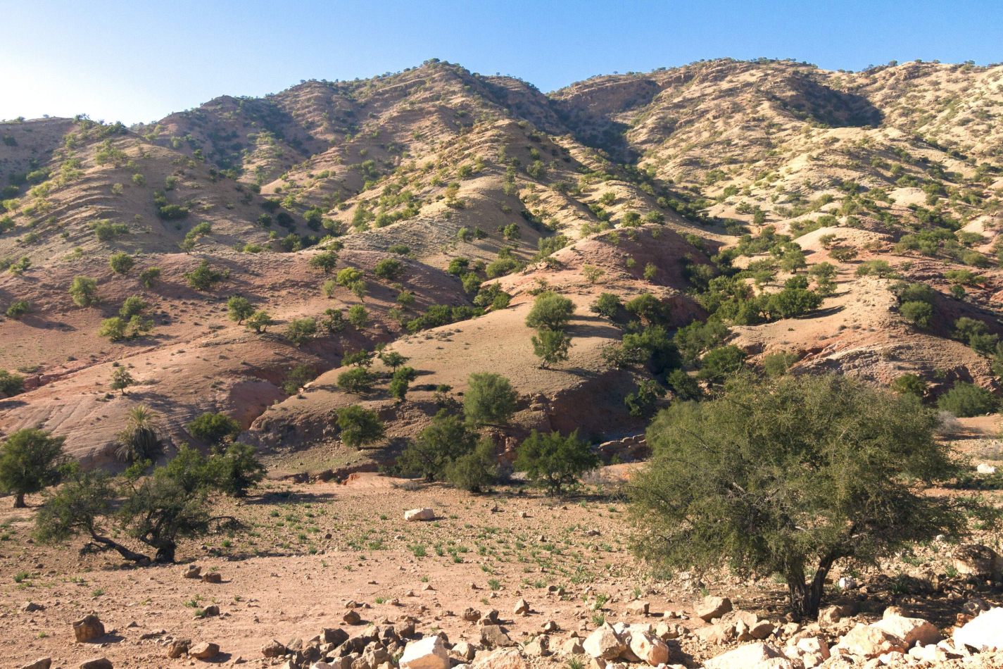 Storvandre: Tizi n Test Pass