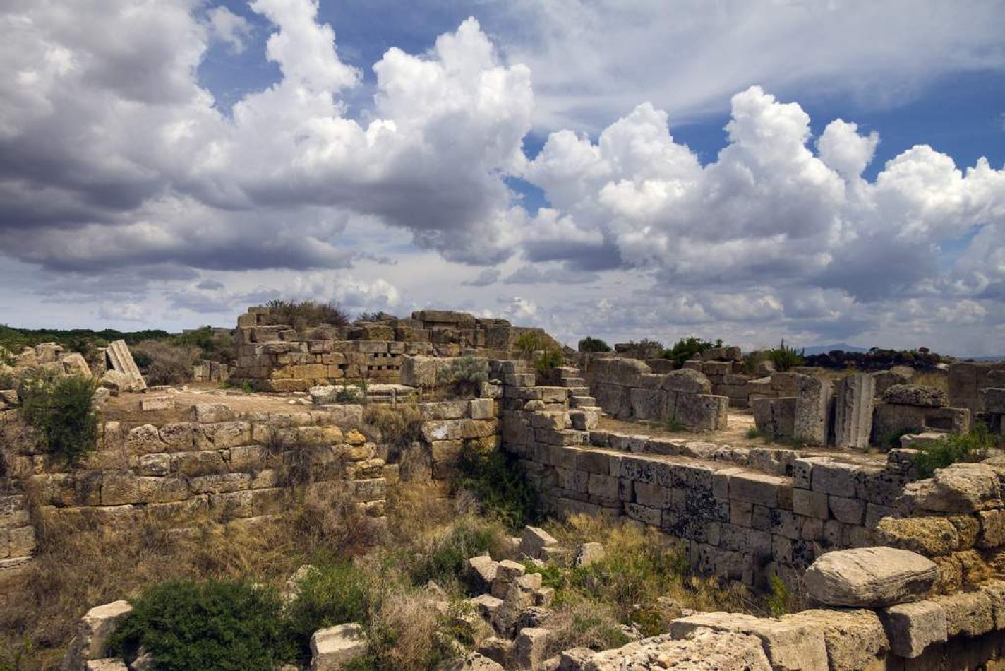 Storvandre: Selinunte