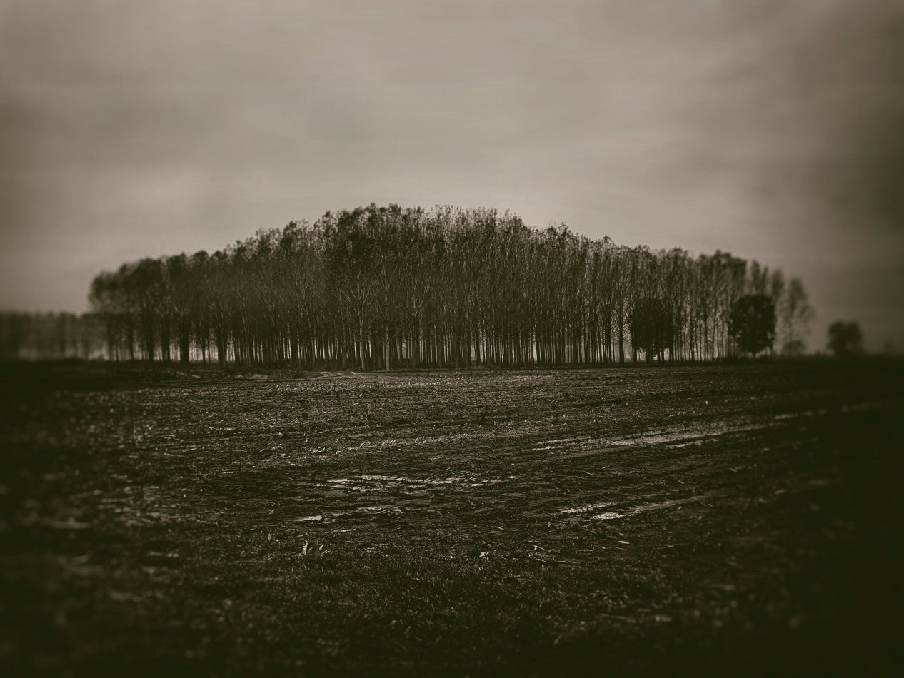 Storvandre: Villanova d Ardenghi