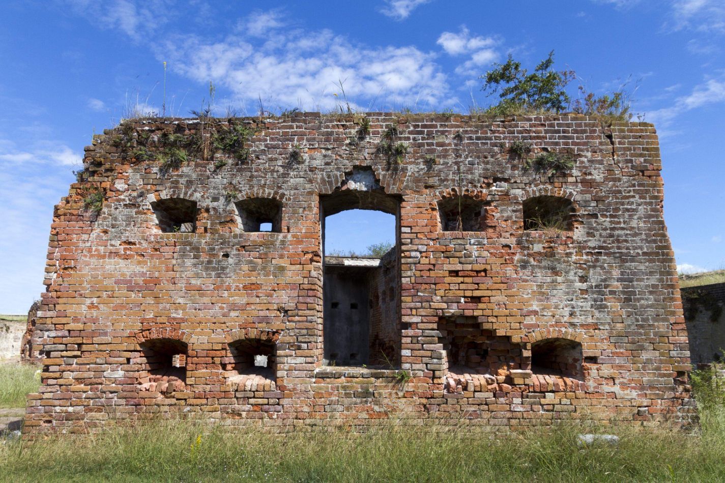 Storvandre: New Orleans