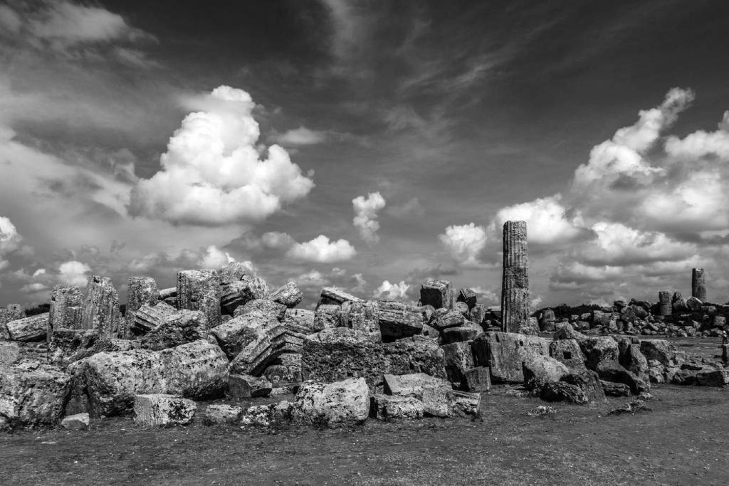 Storvandre: Selinunte