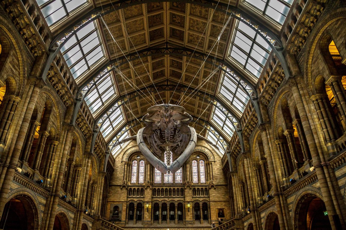 Storvandre: Natural History Museum