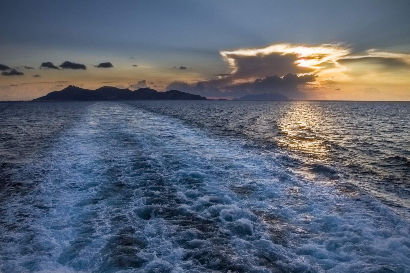 Storvandre: Favignana