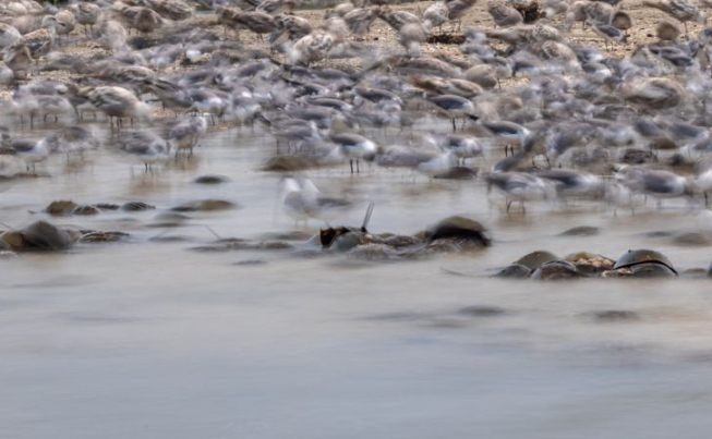 Atlantic City to Princeton