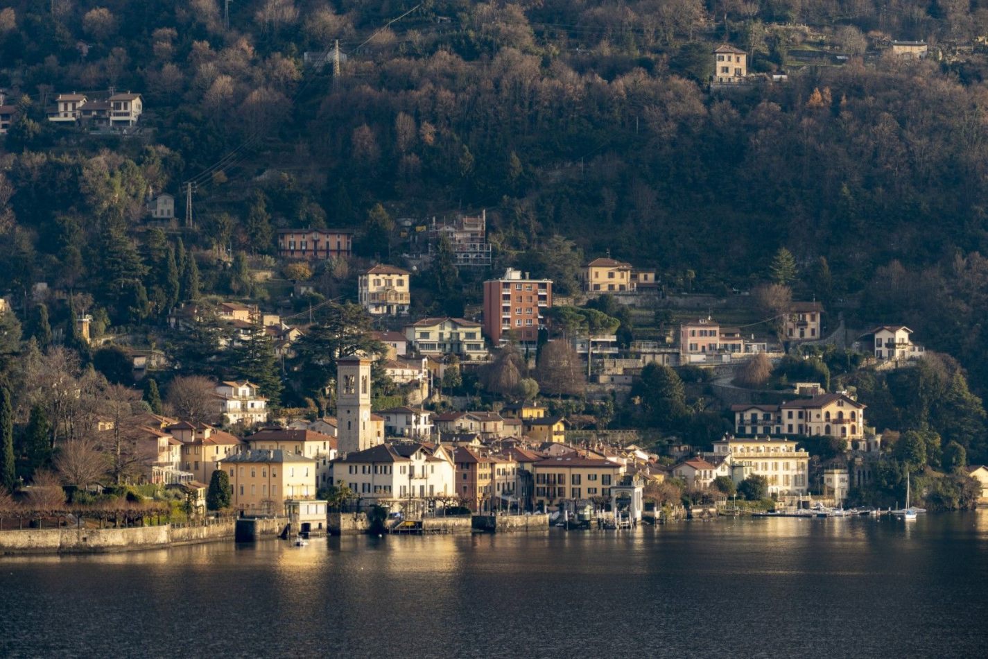 Storvandre: Carate Urio