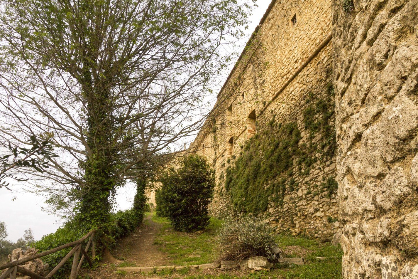 Storvandre: Magliano in Toscana