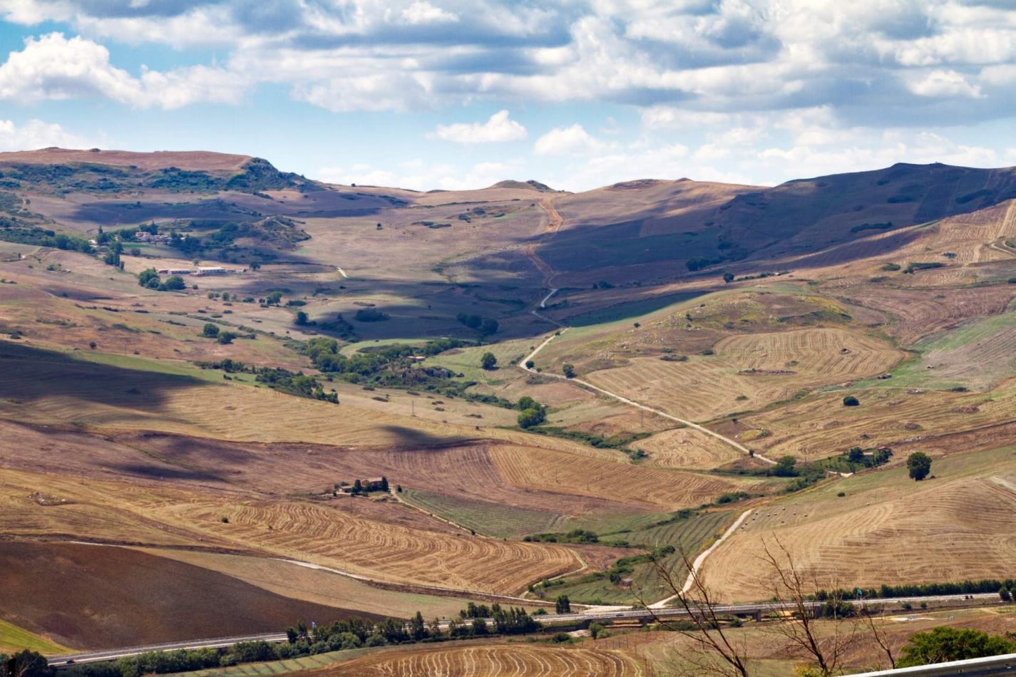 Storvandre: Petralia